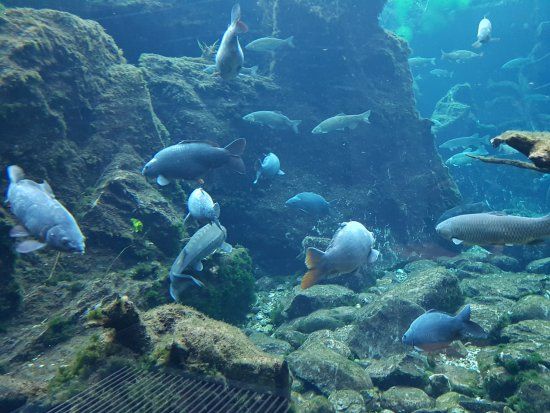 il Centro visite del Parco Nazionale dello Stelvio aquaprad