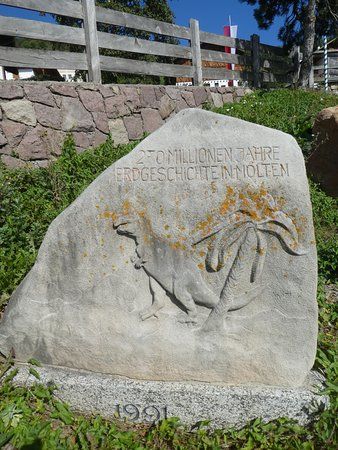 das Fossilienmuseum Mölten