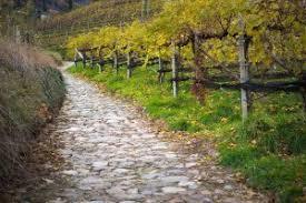 Marlinger Höhenweg