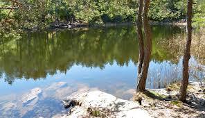 Goller Pond