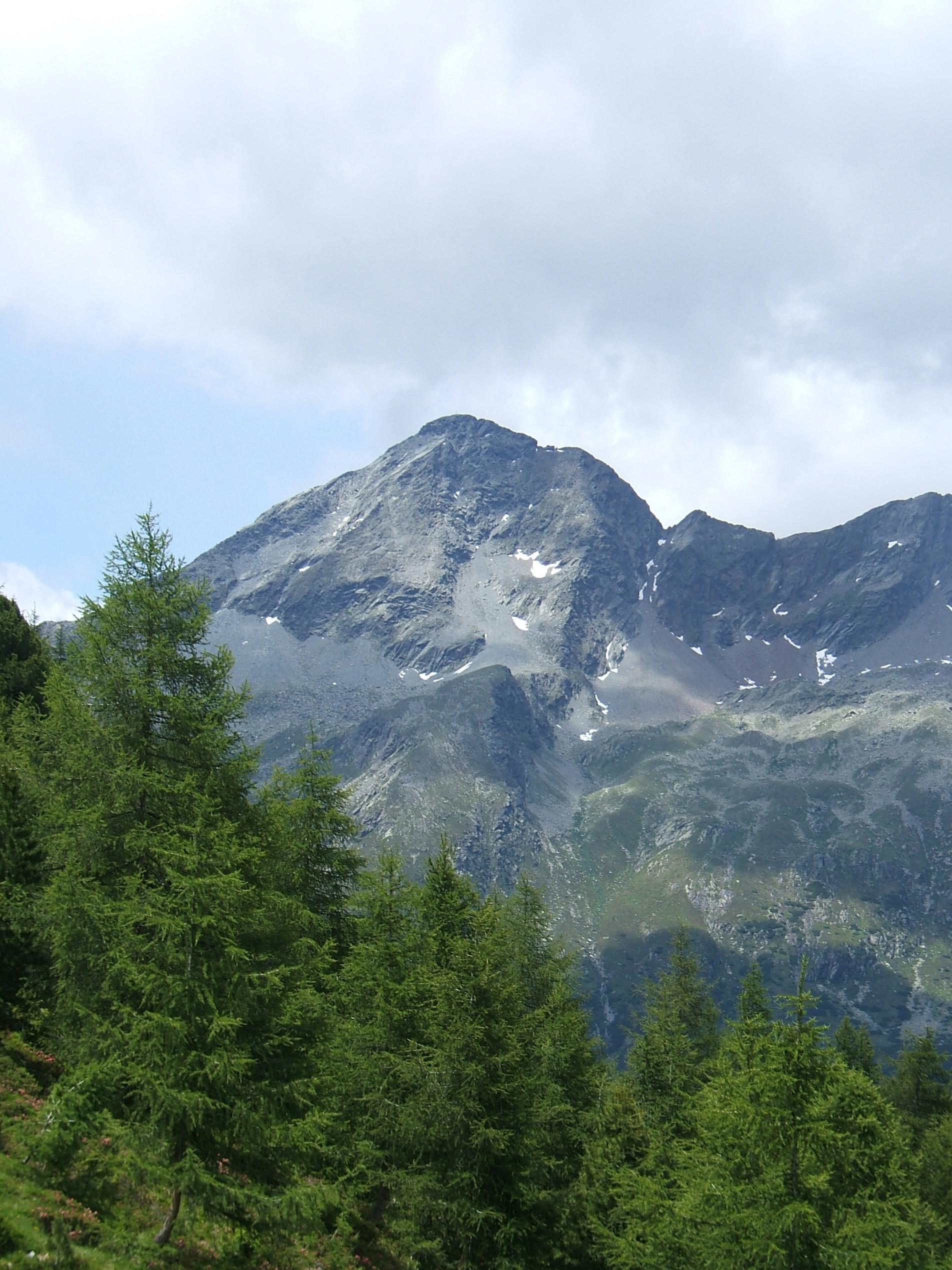 Picco Palù