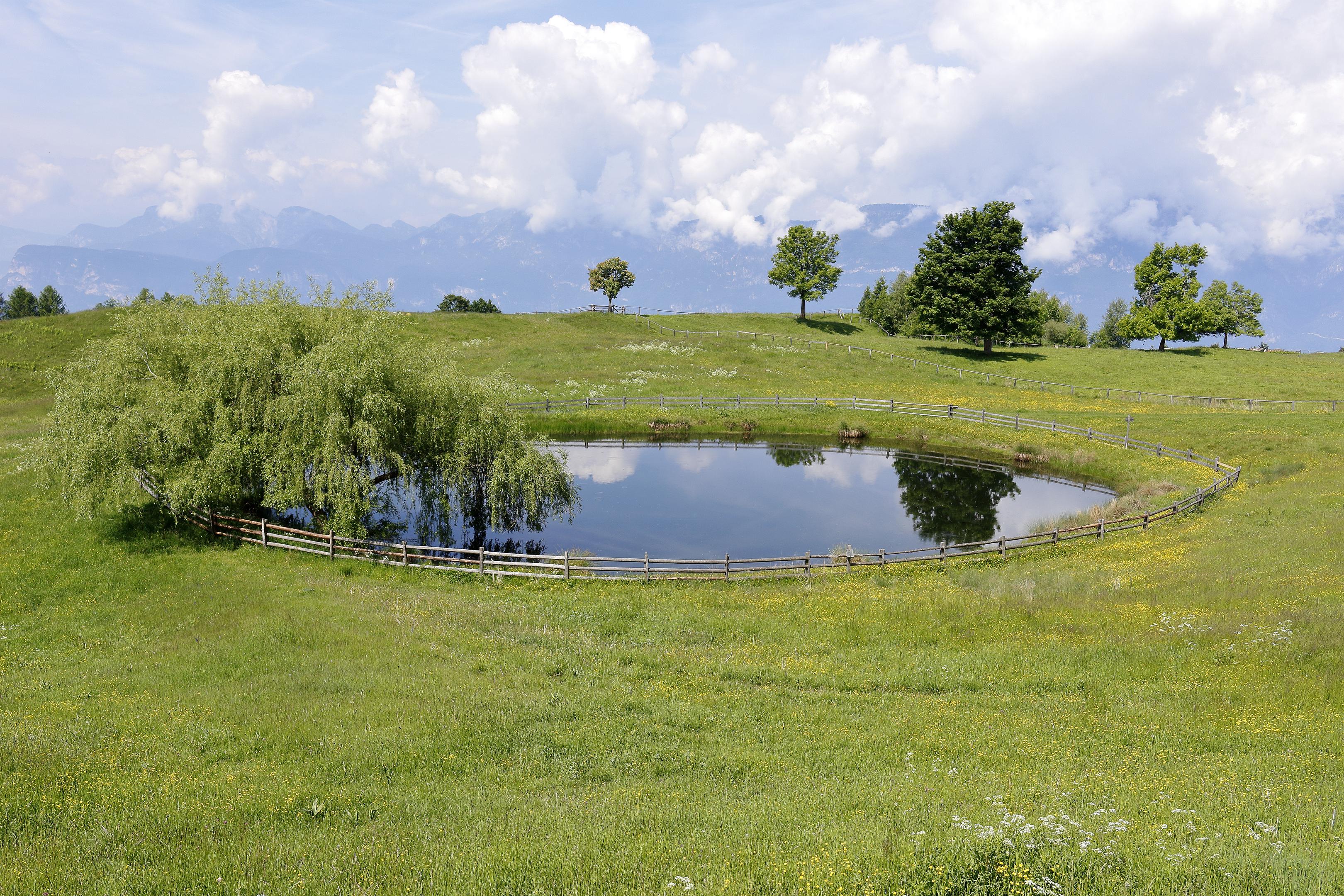 der Naturpark Trudner Horn