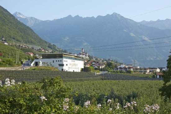 Meran Burggrafler Winery
