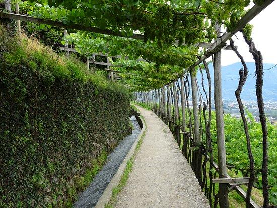 Sentiero delle Rogge - Waalweg Lagundo