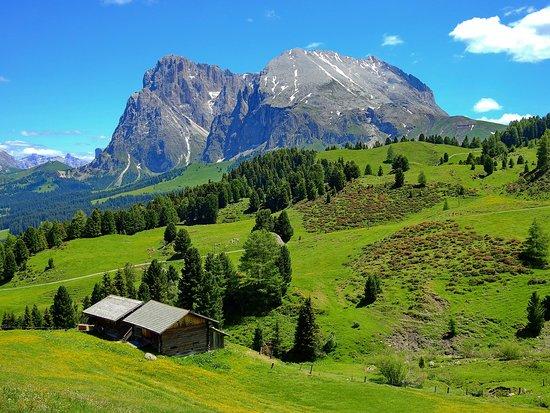 Seiser Alm - Alpe di Siusi