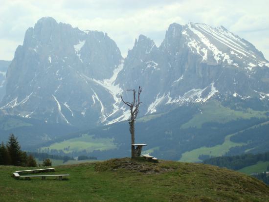 Bullaccia