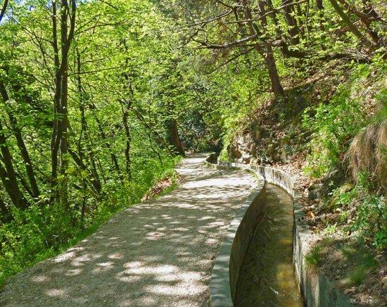 Roggia di Marlengo