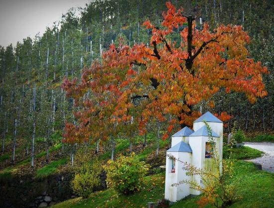 Pardellerhof Montin