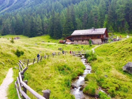 LercherAlm Oberwielenbach