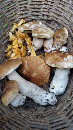 il Biotopo Rasun